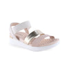 DORADO/BEIGE/CREMA 985 / 22 / BRILHO ITALIA/NP FLOAT NATURE/ELAST