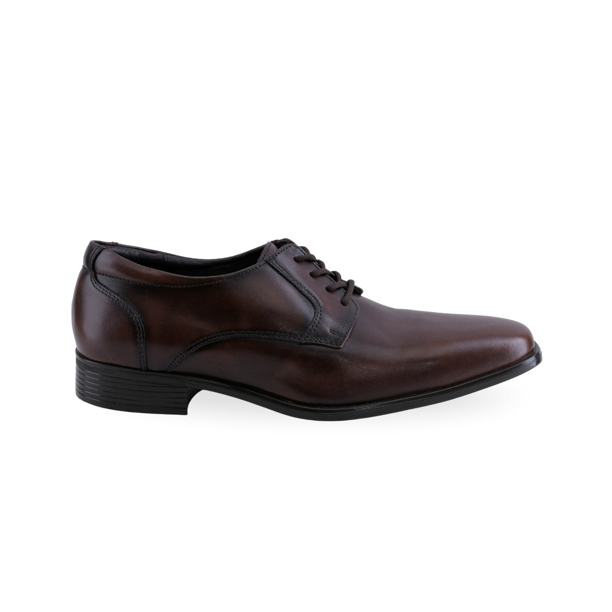 Zapato de vestir café Gino Cherruti para hombre
